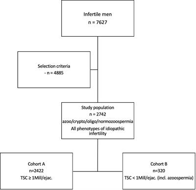 FSHB Genotype Identified as a Relevant Diagnostic Parameter Revealed by Cluster Analysis of Men With Idiopathic Infertility